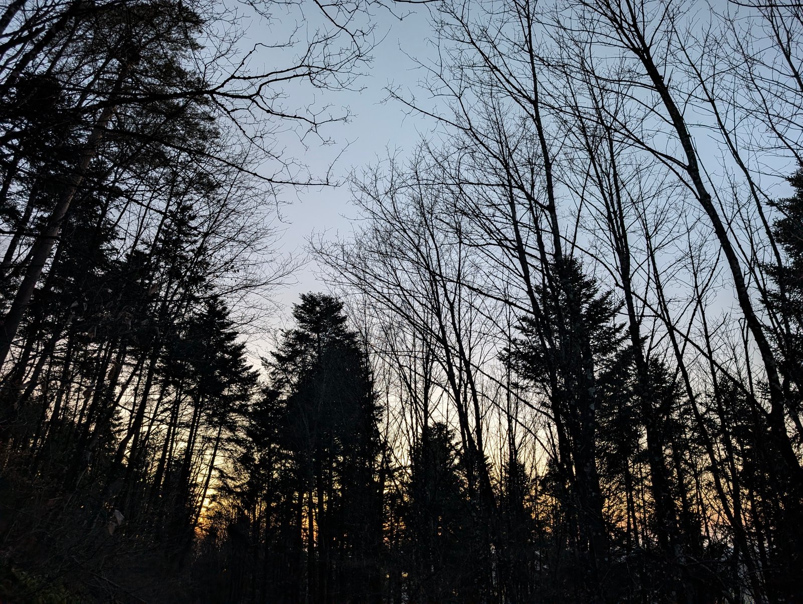 Paysages 